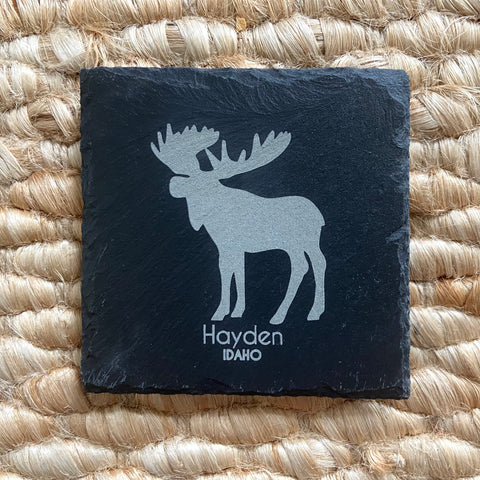 Hayden, Idaho Moose Slate Coaster
