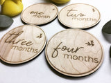Growing Branch | Round Baby Monthly Milestone Discs - SET OF 12